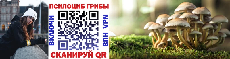 Купить закладки  Сычёвка  Галлюциногенные грибы GOLDEN TEACHER 